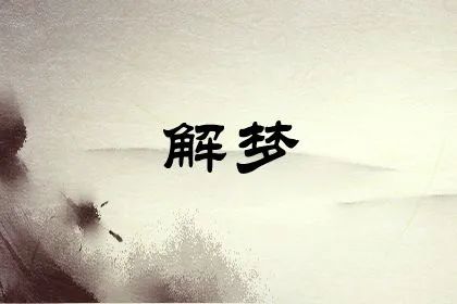 梦见大蜘蛛向我走来_梦见大蜘蛛_能见很大的蜘蛛