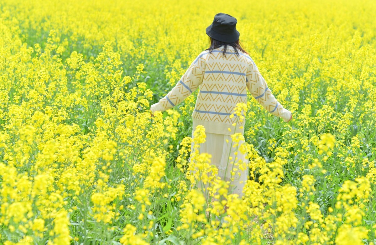 若溪沈知意_若溪_若溪名字的含义是什么