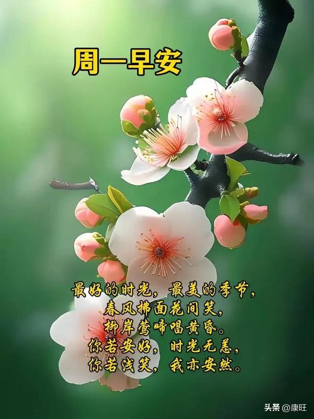 十二星座每日运程星座_星座运程_播放星座运程