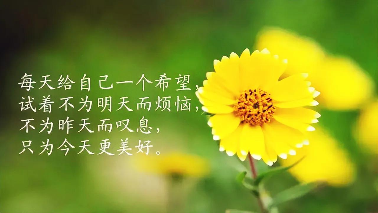 太岁破煞符什么意思啊_太岁破煞符_破太岁