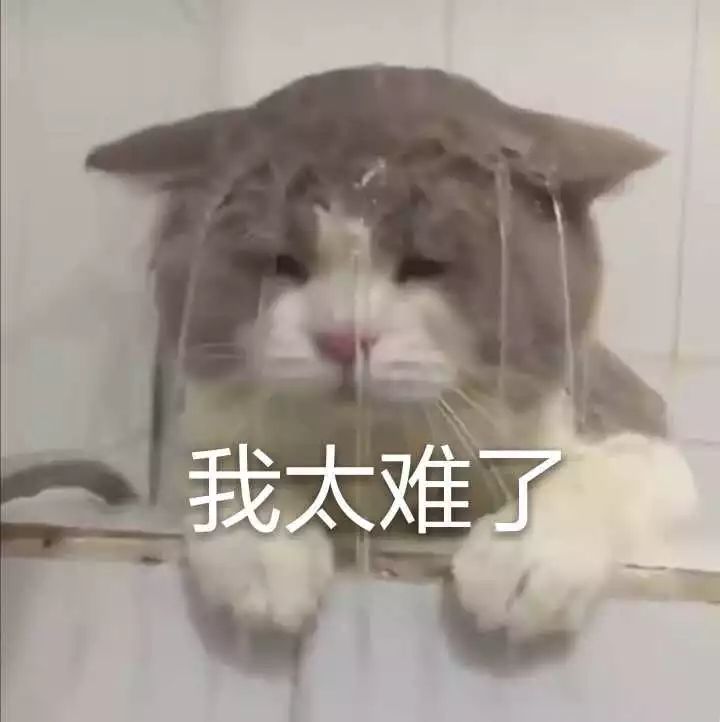 网页视频播放器_网页视频播放器的设置在哪里_网页内播放视频