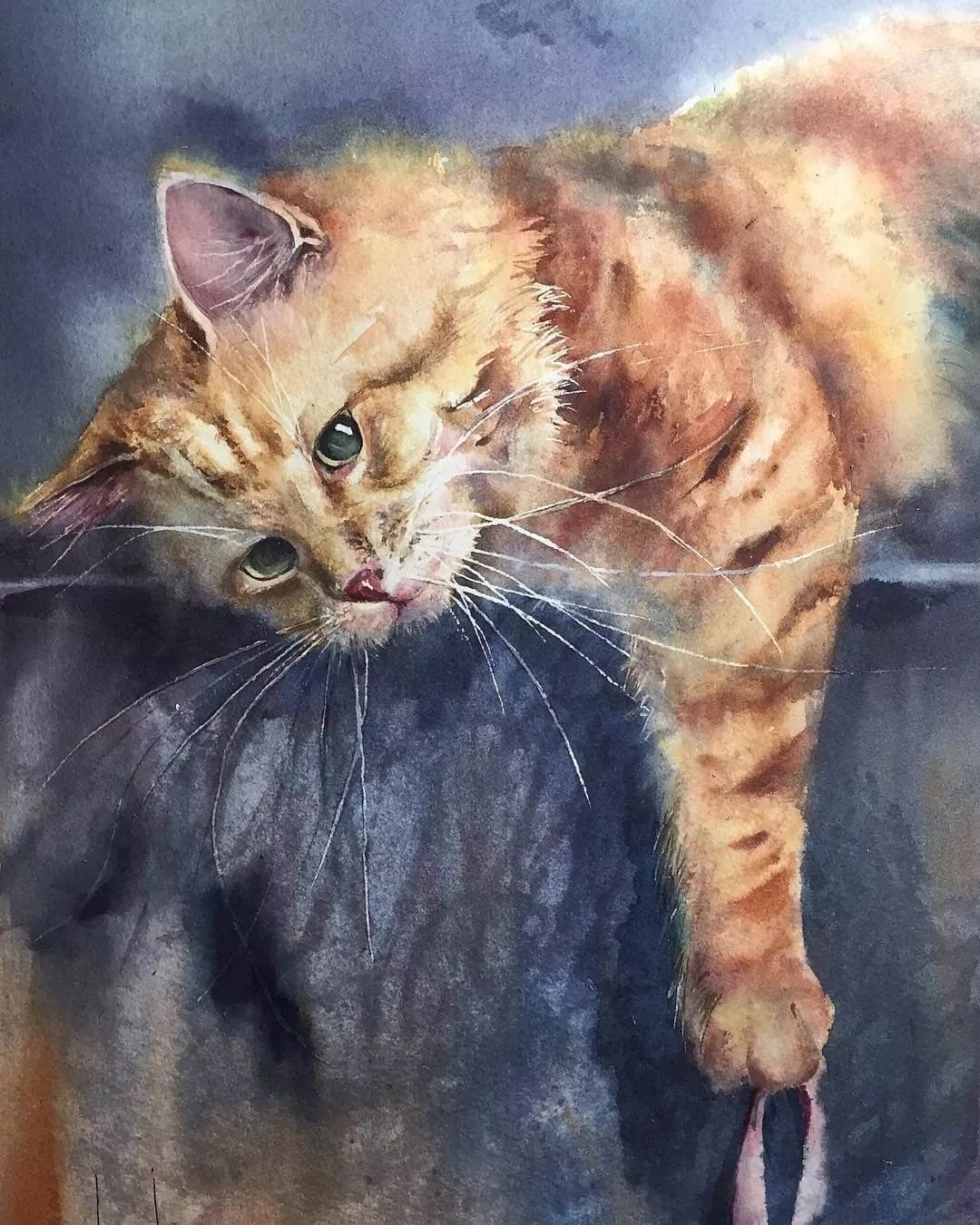 猴哥博客_猴哥官网_猴哥的微博