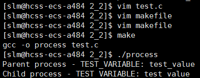 linux设置环境变量_linux设置环境变量_linux设置环境变量