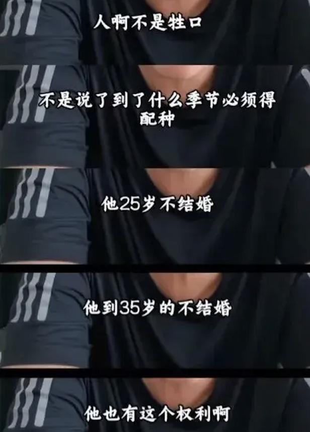 丁丁的博客_丁丁丁丁辉_微博_ddd丁丁丁微博