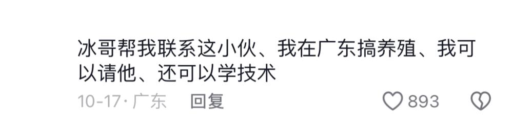 丁丁丁丁辉_微博_丁丁的博客_ddd丁丁丁微博