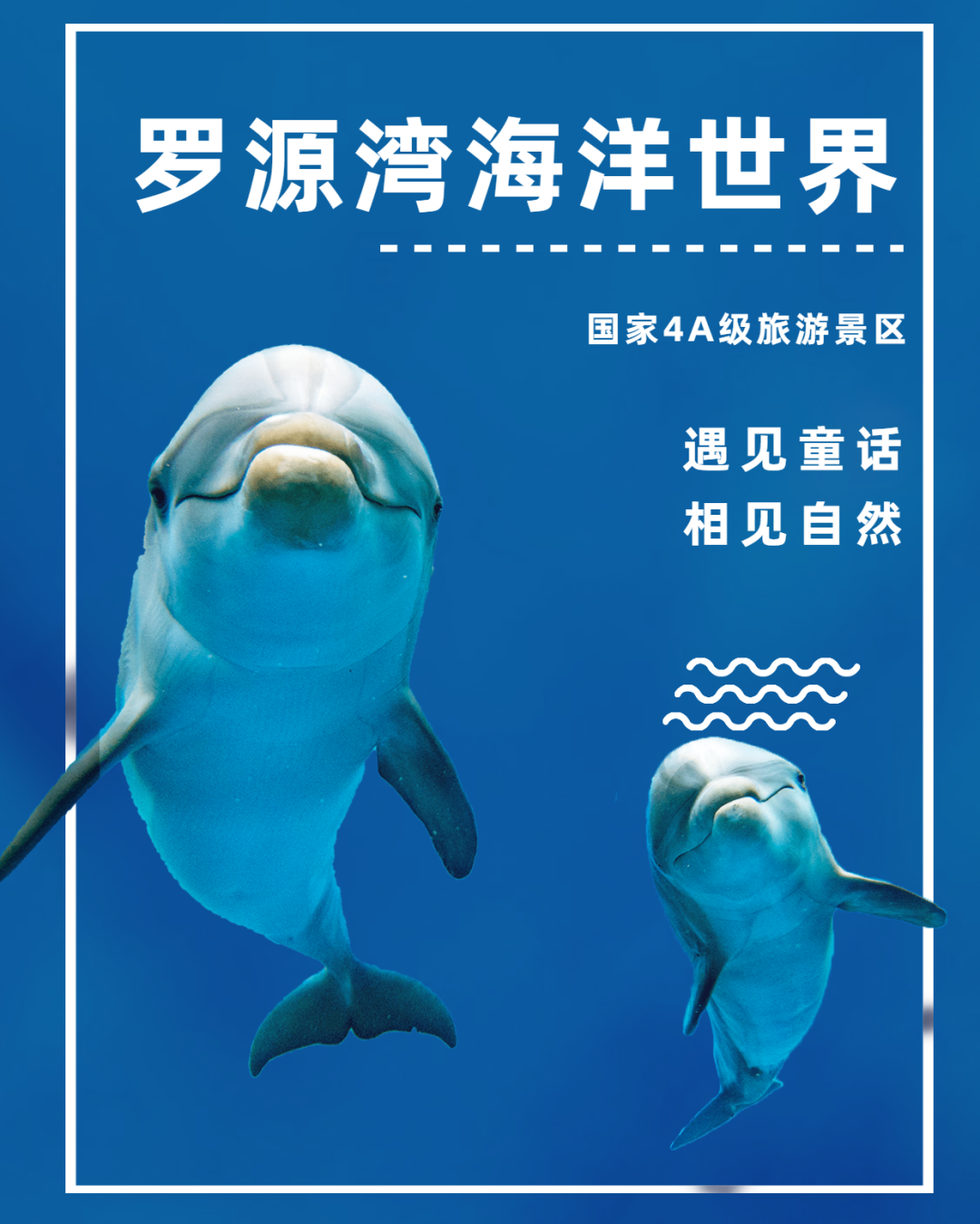 投影柱面和投影曲线方程一样吗_投影柱面方程怎么求_柱面投影