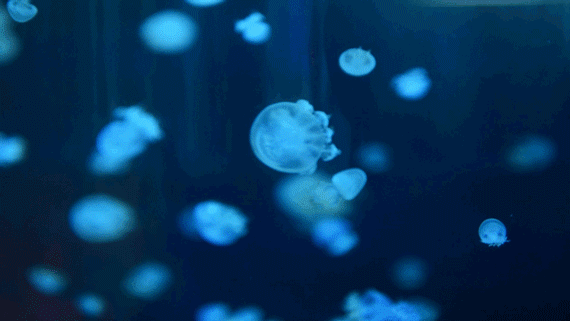 投影柱面和投影曲线方程一样吗_柱面投影_投影柱面方程怎么求