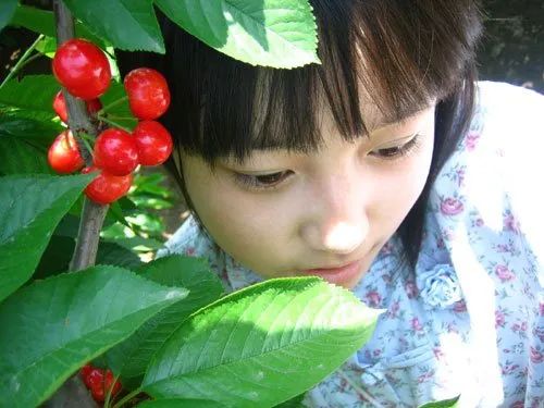 田维的博客_花田半亩田维在线阅读_田维子午书简