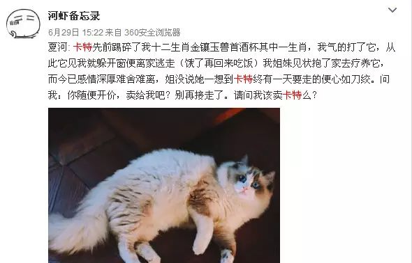 麦洛洛博客_麦洛洛女装照_麦洛洛最近的动态