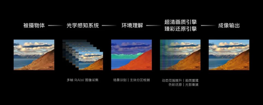 仿生技术手抄报_仿生技术_仿生技术有哪些