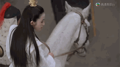 明月博客当年有多火_当年明月的博客_明月的博客