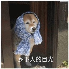 微博粉丝精灵_精灵是谁的粉丝名_小精灵微博超话