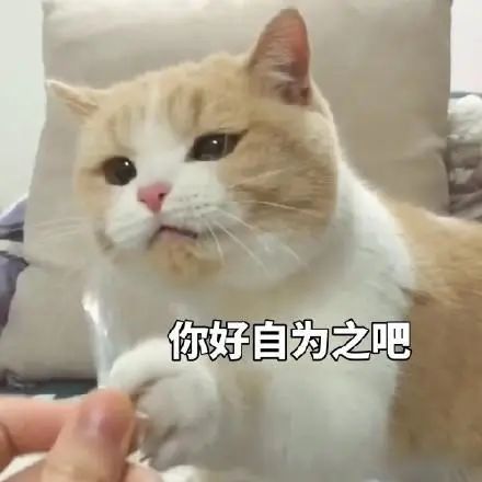 微博粉丝精灵_小精灵微博超话_精灵是谁的粉丝名