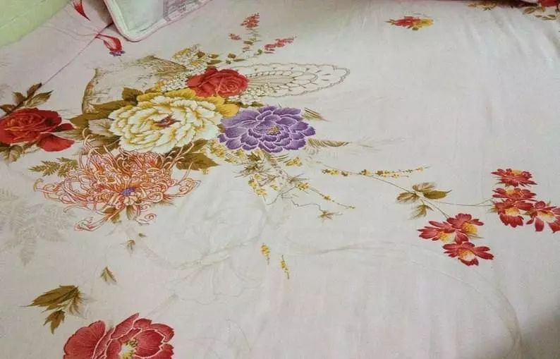 胖鸟快飞_胖鸟飞机_胖鸟飞不起来