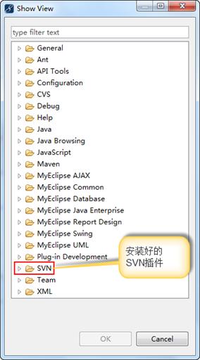 服务器安装svn_安装svn服务端_lls安装服务器