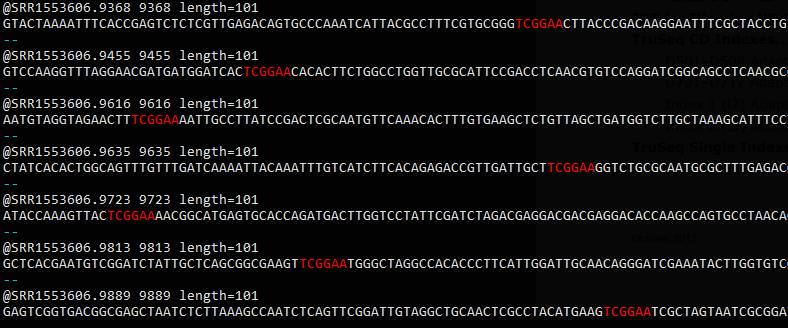 正则表达式grep_grep正则表达式引号_grep正则表达式