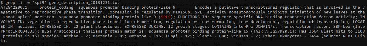 grep正则表达式引号_grep正则表达式_正则表达式grep