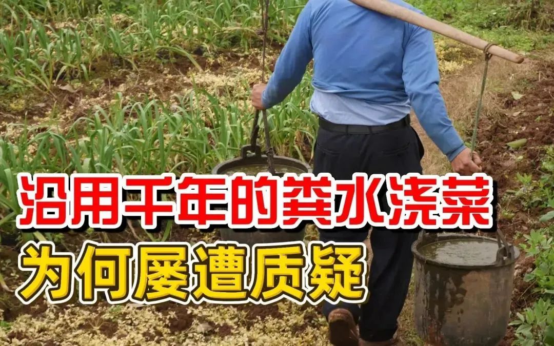 庄稼一枝花下一句是什么歇后语_庄稼一朵花下一句_庄稼一枝花的下一句