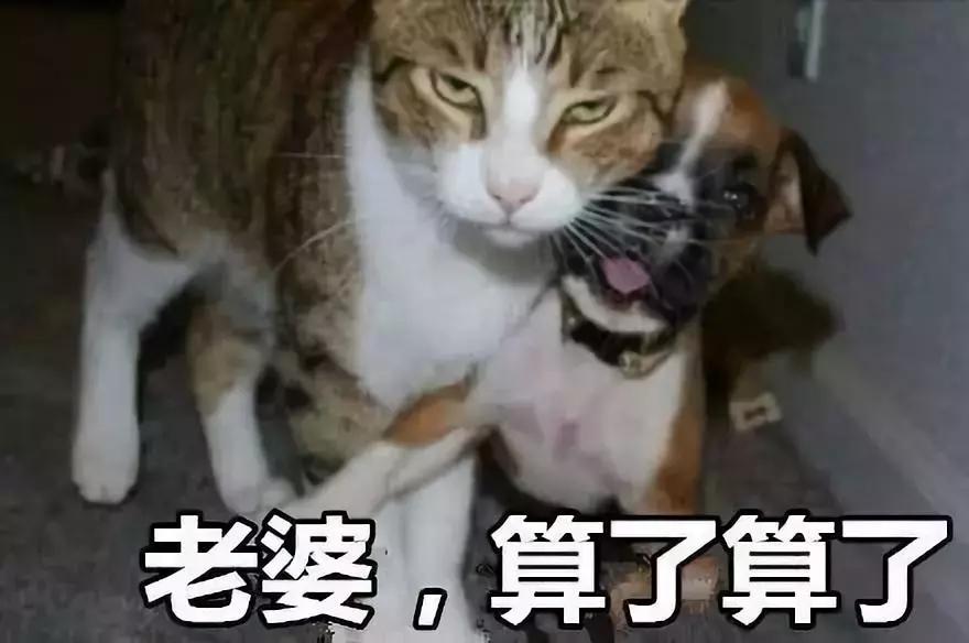 old sex_OLDSEXMOMPISS_中国windows野外
