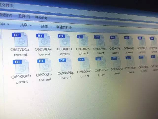 泷泽萝拉第二部种子下载_泷泽萝拉17部合集种子_泷泽萝拉4部种子图