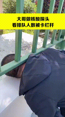活拉拉赚钱吗_活拉圈能减肚子吗_拉活