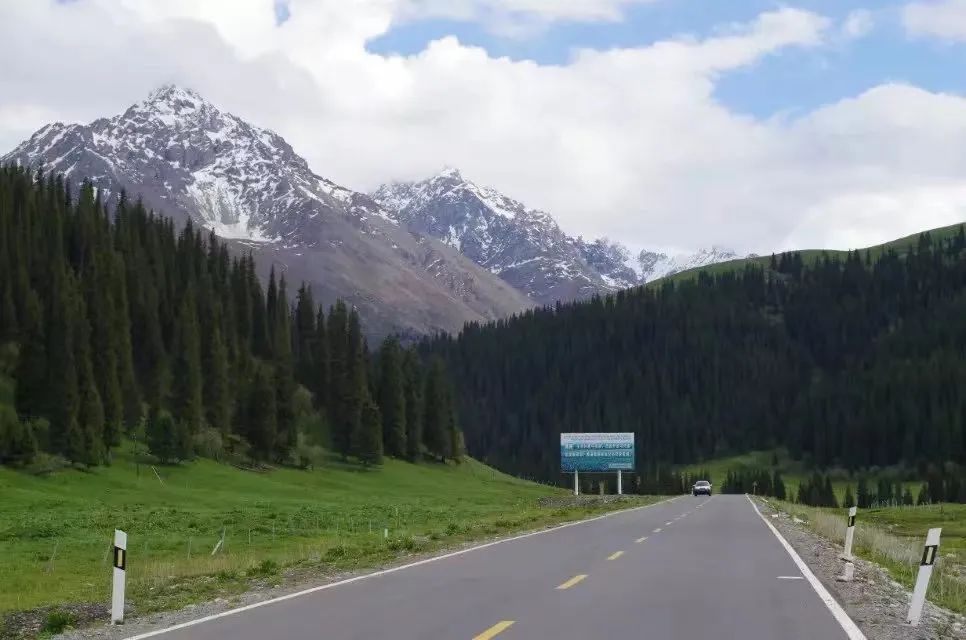 老虎地图离线包_老虎地图安卓版下载_老虎地图好用吗
