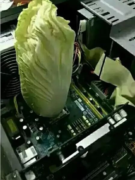 全国最大爱好论坛_卡巴爱好者论坛_人体摄影爱好论坛