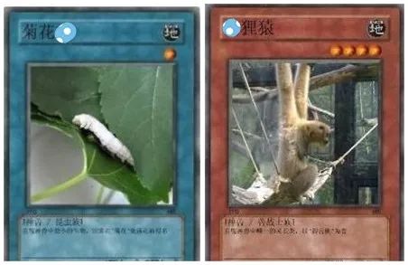贴吧神兽可以关吗_贴吧神兽是什么意思_贴吧神兽