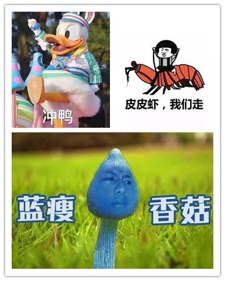 贴吧神兽_贴吧神兽可以关吗_贴吧神兽是什么意思