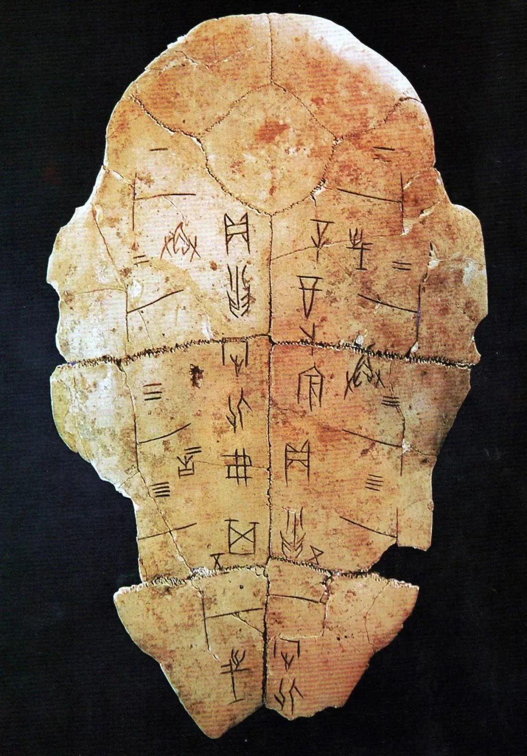 从甲骨文的破解难点找到突破口，发现中华老祖宗留下的「开智学」|甲骨文|字义|轩辕黄帝_新浪新闻