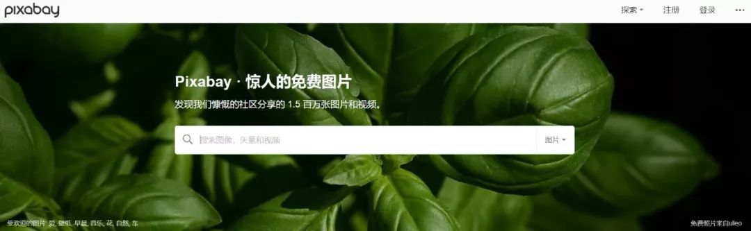 论坛网址有哪些_论坛网址打不开换浏览器_xiao77论坛网址