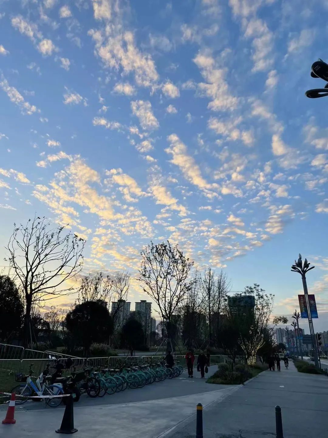 天才笨笨碰在线游戏_天才碰碰笨的游戏规则_天才笨笨碰桌游diy