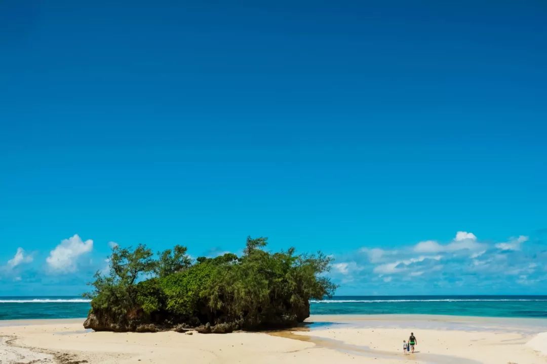 80天堂_天堂鸟_天堂旅行团