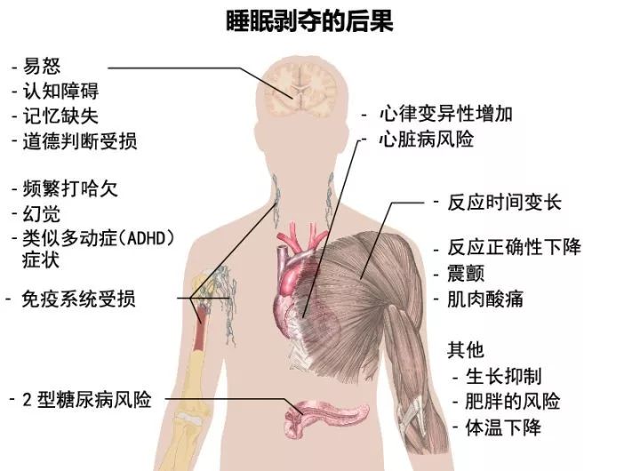 活着就是王道什么意思_于娟博客 活着就是王道_活着就是王道