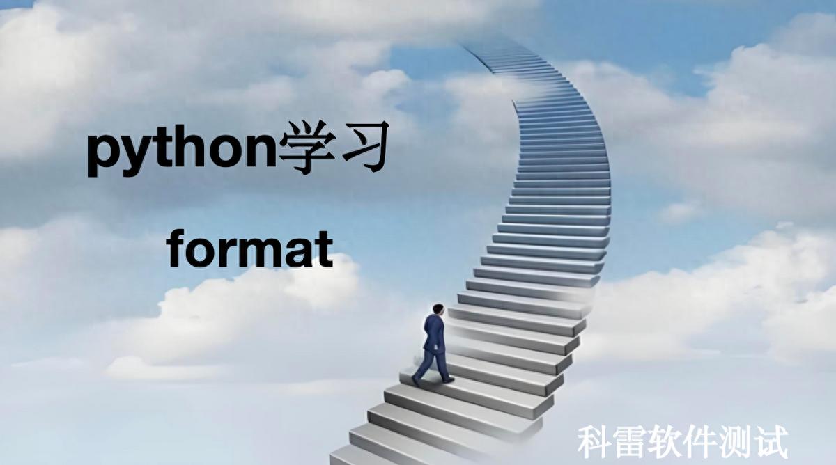 format函数怎么用_format_format的中文翻译