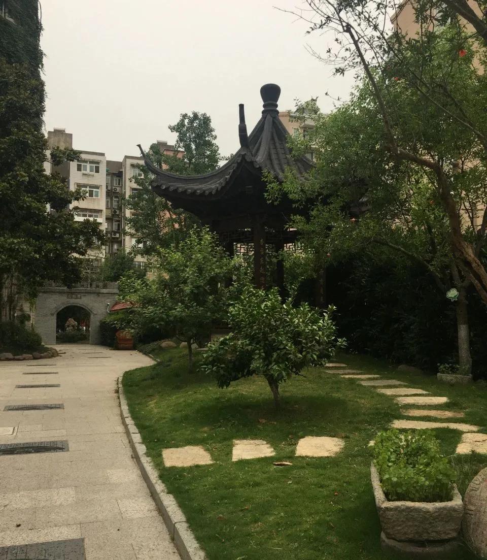 杨毅博客_杨毅博客直播回放_杨毅新浪微博