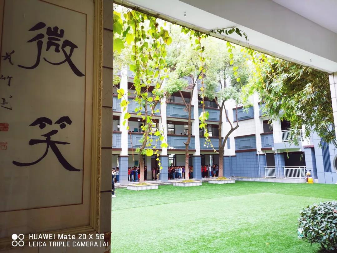 杨毅博客_杨毅新浪微博_杨毅博客直播回放