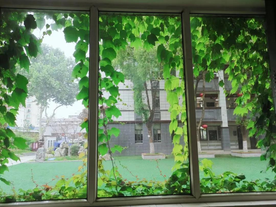 杨毅新浪微博_杨毅博客直播回放_杨毅博客