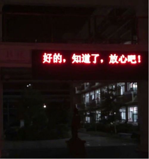 酷喵_酷5_酷5