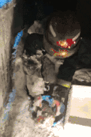 酷5_酷喵_酷5
