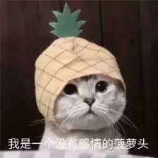 酷喵_酷5_酷5