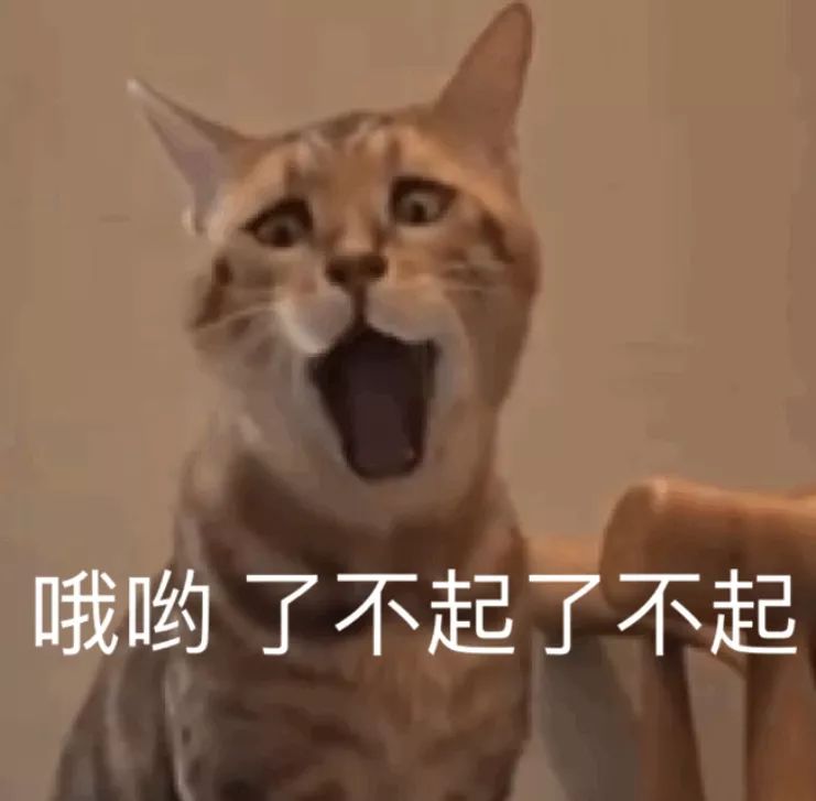 酷喵_酷5_酷5
