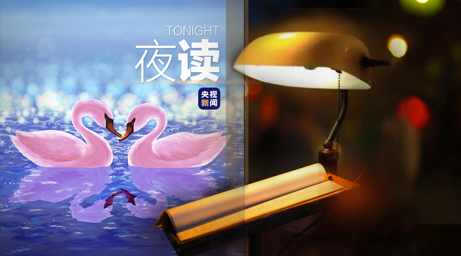 yy顾爱_不顾一切的爱歌词_顾爱宁乐队
