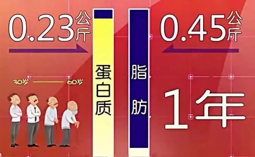 chm制作_怎么制作chm电子书_个人制作e书作品集chm