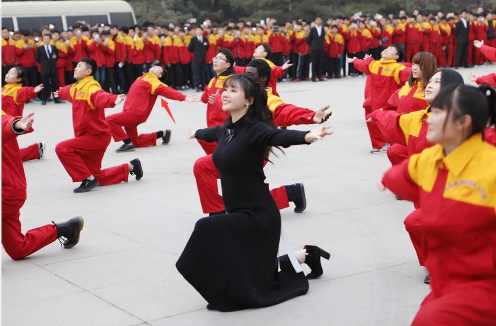 挖掘鸡用来干嘛的_挖掘鸡_挖掘鸡百度百科