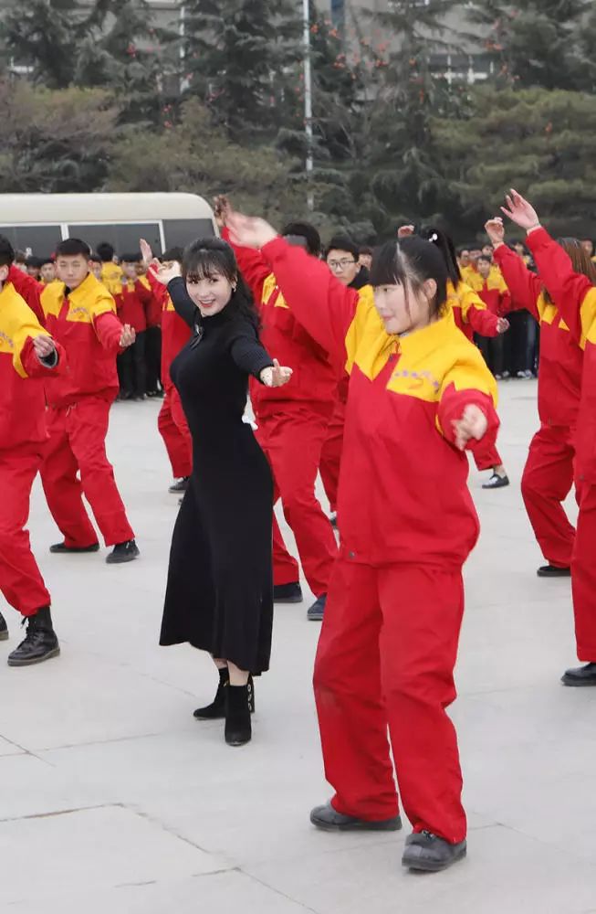 挖掘鸡百度百科_挖掘鸡用来干嘛的_挖掘鸡