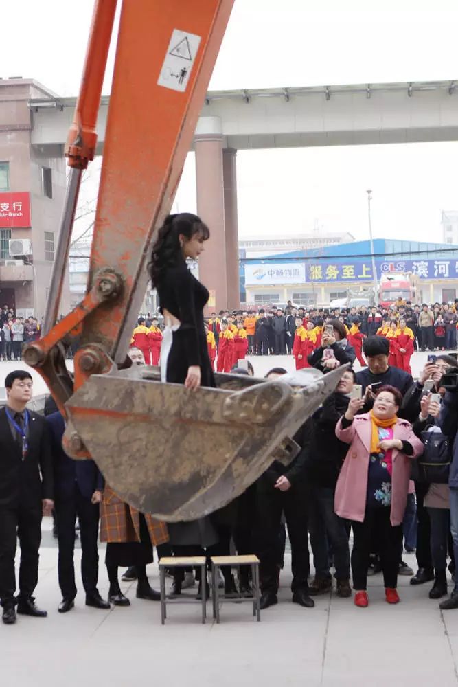 挖掘鸡百度百科_挖掘鸡用来干嘛的_挖掘鸡