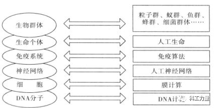 鱼群算法_鱼群算法和蚁群算法_鱼群算法和粒子群