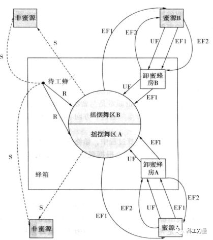鱼群算法和粒子群_鱼群算法和蚁群算法_鱼群算法
