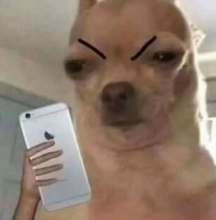 x卧底间谍软件_x卧底软件下载_x卧底